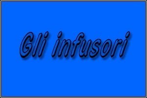Gli Infusori Gli Infusori