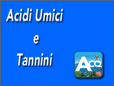 Acidi umici e tannini
