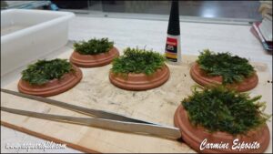 Fissidens Fontanus Fissidens Fontanus