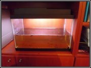 foto8