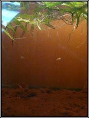 foto9
