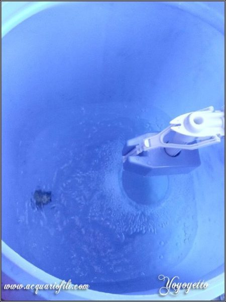 Cambio acqua automatizzato