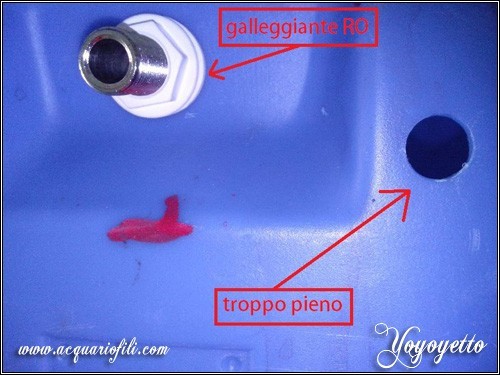 Cambio acqua automatizzato
