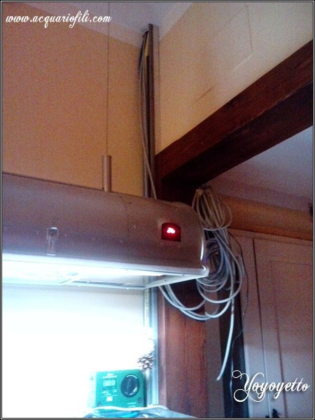 Cambio acqua automatizzato