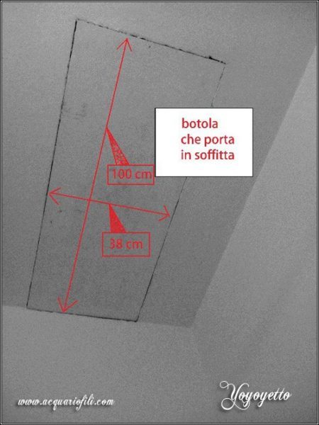 Cambio acqua automatizzato