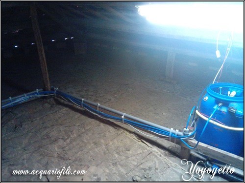 Cambio acqua automatizzato