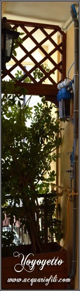 Cambio acqua automatizzato