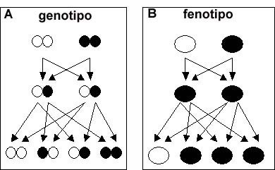 fig.4