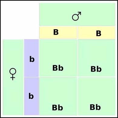 fig2a
