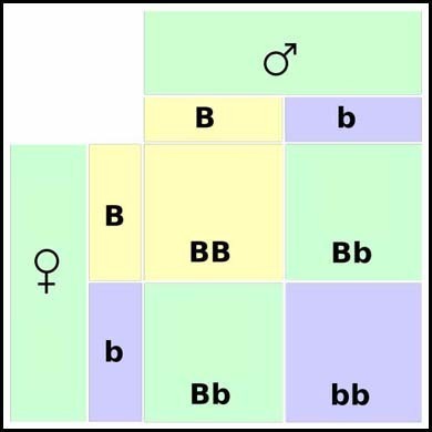 fig3a