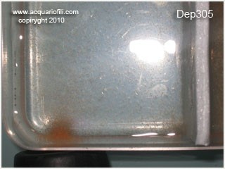 foto14a