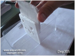 foto6a