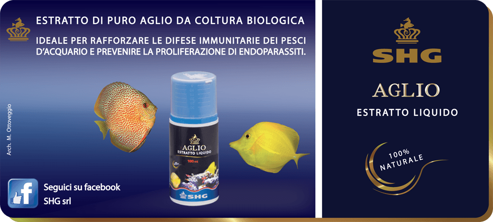 Aglio in acquario