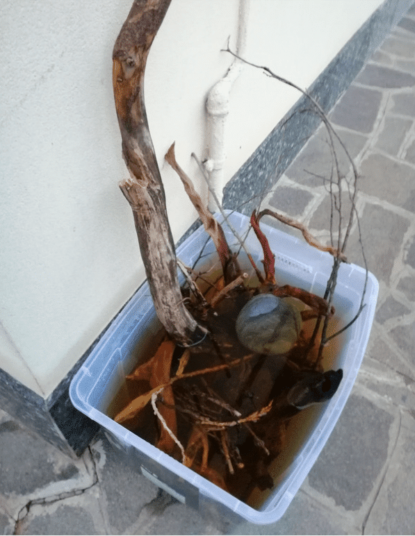 Vasca Di Giuseppe De Rito