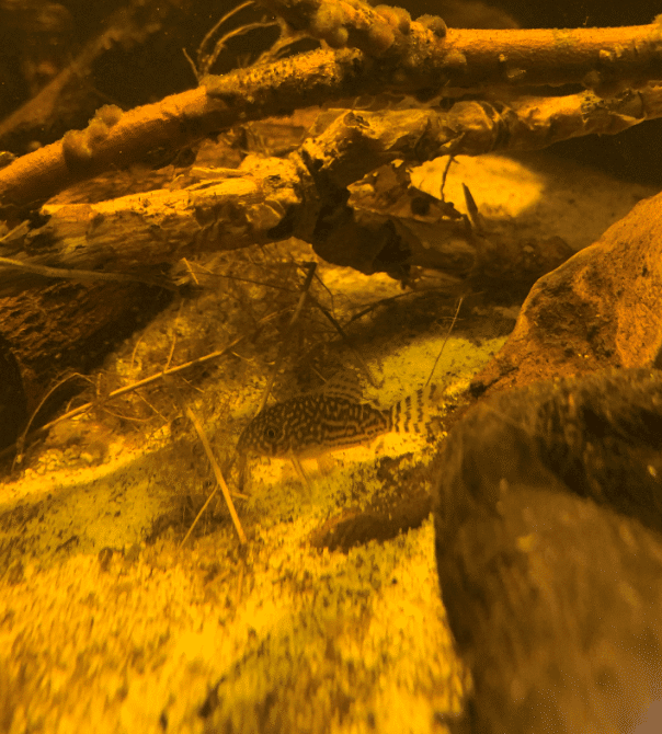 Vasca Di Giuseppe De Rito