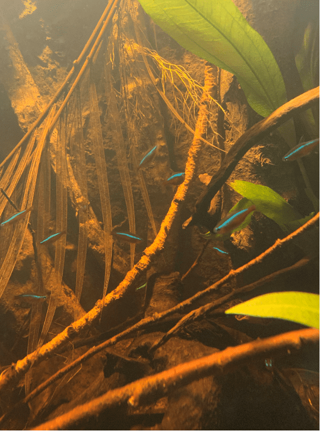 Vasca Di Giuseppe De Rito