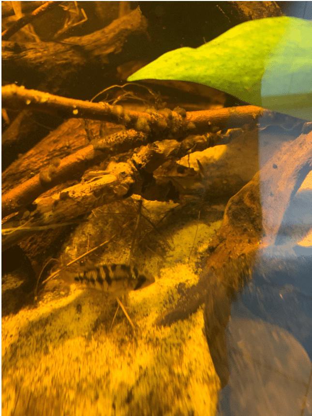 Vasca Di Giuseppe De Rito