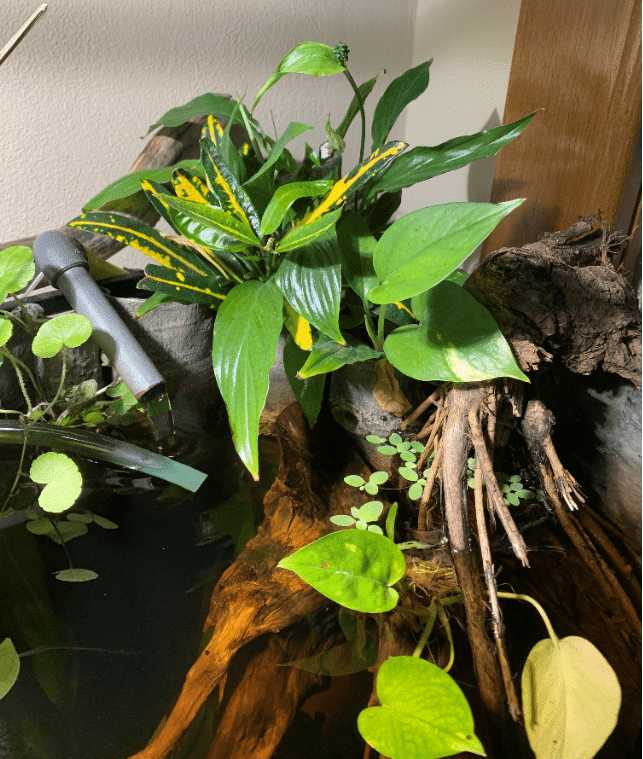 Vasca Di Giuseppe De Rito