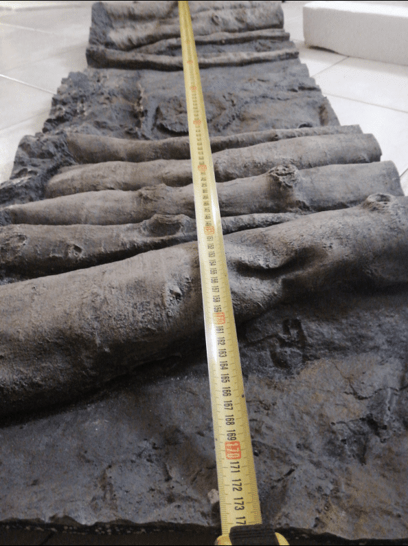 Vasca Di Giuseppe De Rito