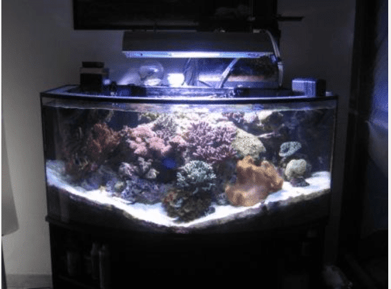 Vasca Di Giuseppe De Rito