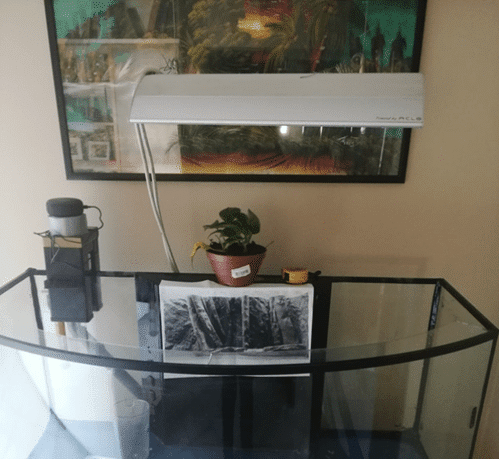 Vasca Di Giuseppe De Rito