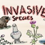 specie invasive