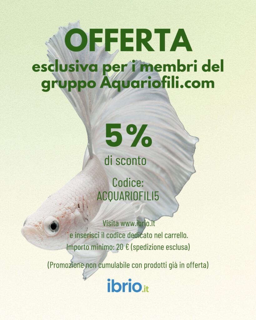 offerta acquariofili.com offerta acquariofili.com